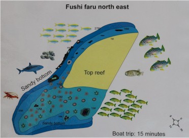 Fushi Faru North-East